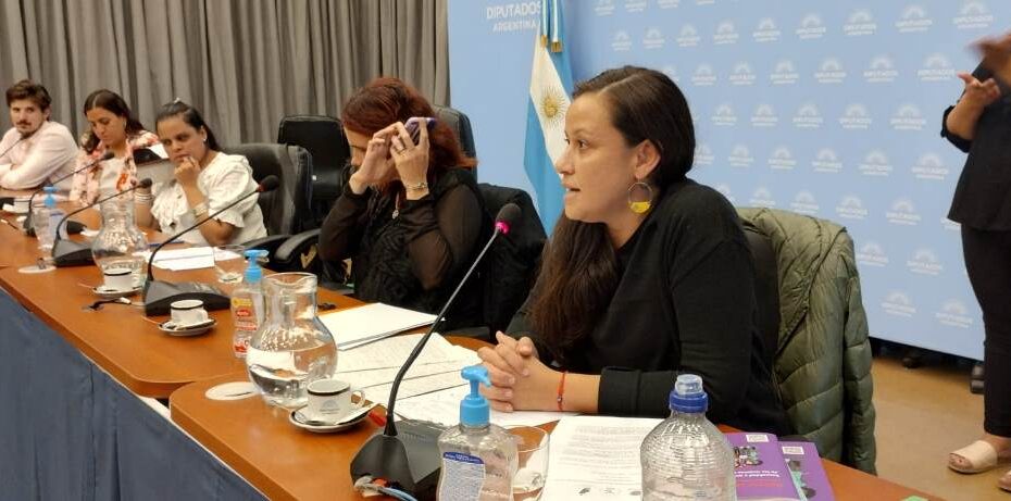 Presentación de los informes en la Cámara de Diputados. Se ve a Mariana Gandolfo, de la Mesa de Trabajo en Discapacidad y DDHH durante su intervención. Además se ve al resto de los expositores: Fabian Murúa, del Cels, Belén Arcucci, de Acij, Soledad Gelvez, de Faica, y Vero Gonzalez de Redi. Detrás se ve a la intérprete de señas.